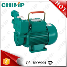 WZB home use self-priming cast iron pump